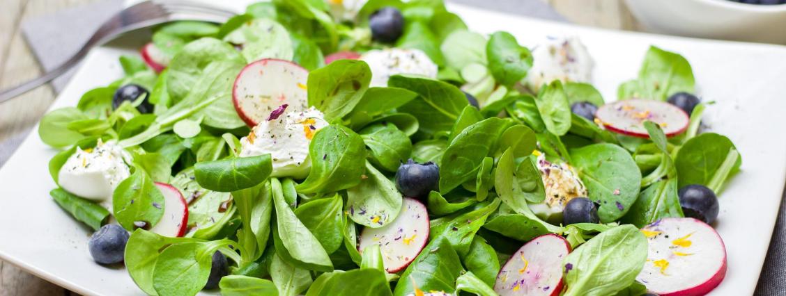 Blattsalat mit Radieschen und Blaubeeren