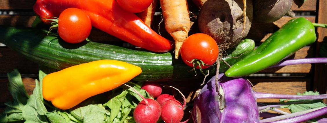 Tag der gesunden Ernährung Abbildung verschiedener Gemüsesorten