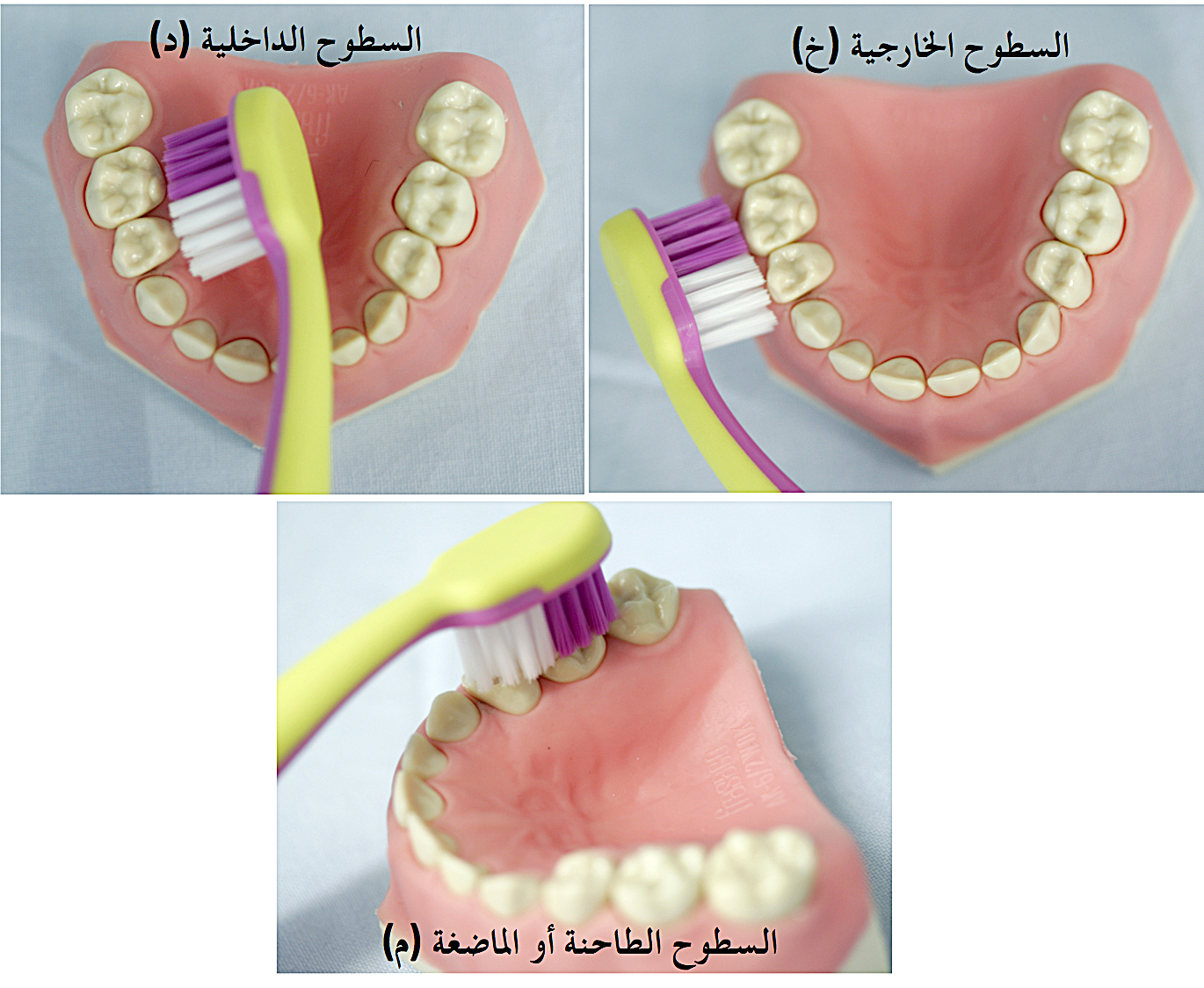 Abb. 5: KAI-Putzmethode erklärt in arabischer Sprache