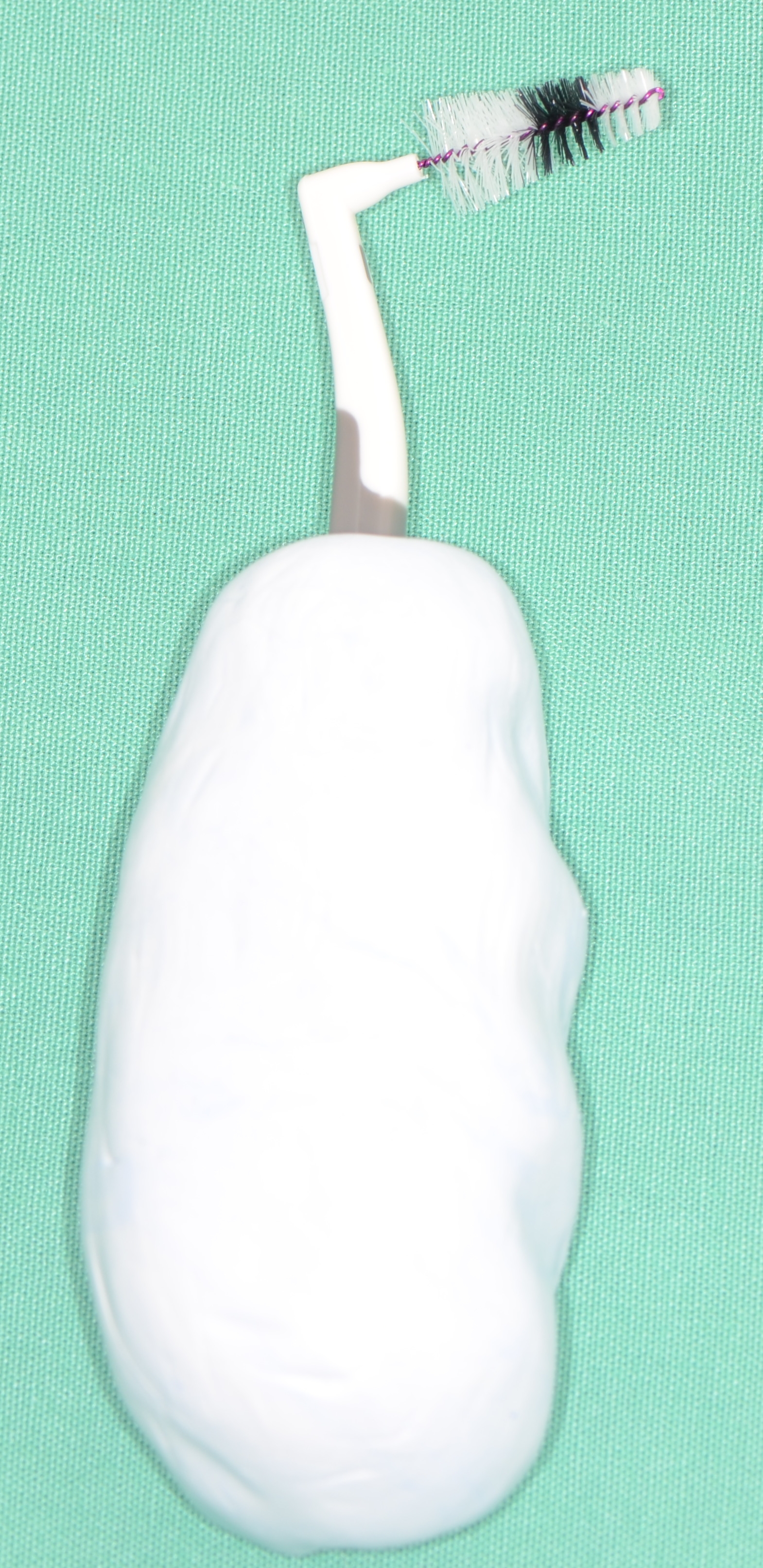 Abb. 3: Interdentalraumbürste