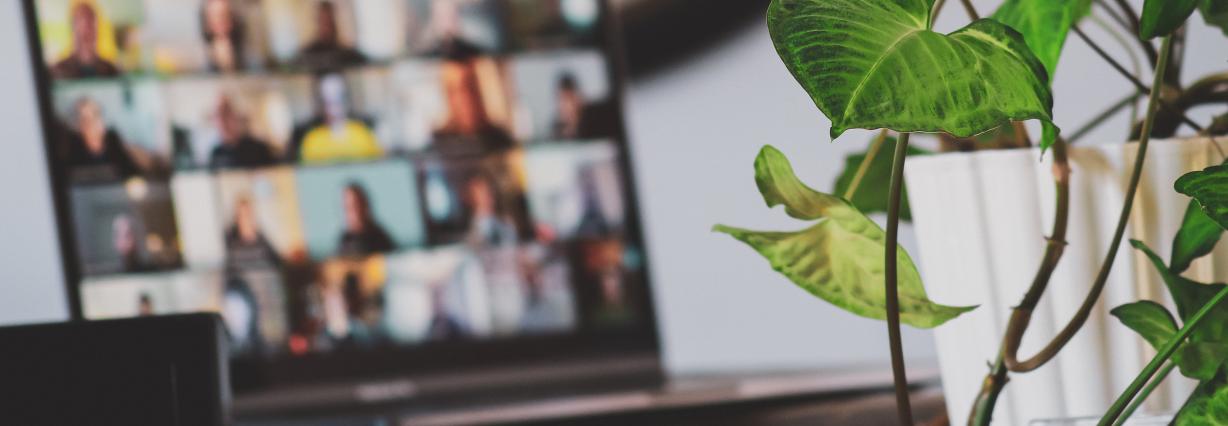 online fortbildung